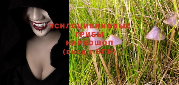 молекула духа Переславль-Залесский