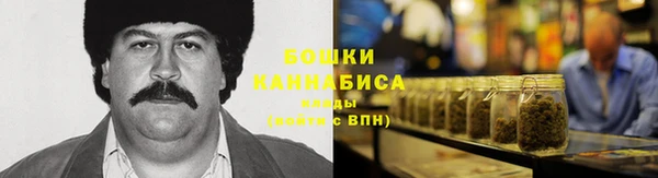 молекула духа Переславль-Залесский